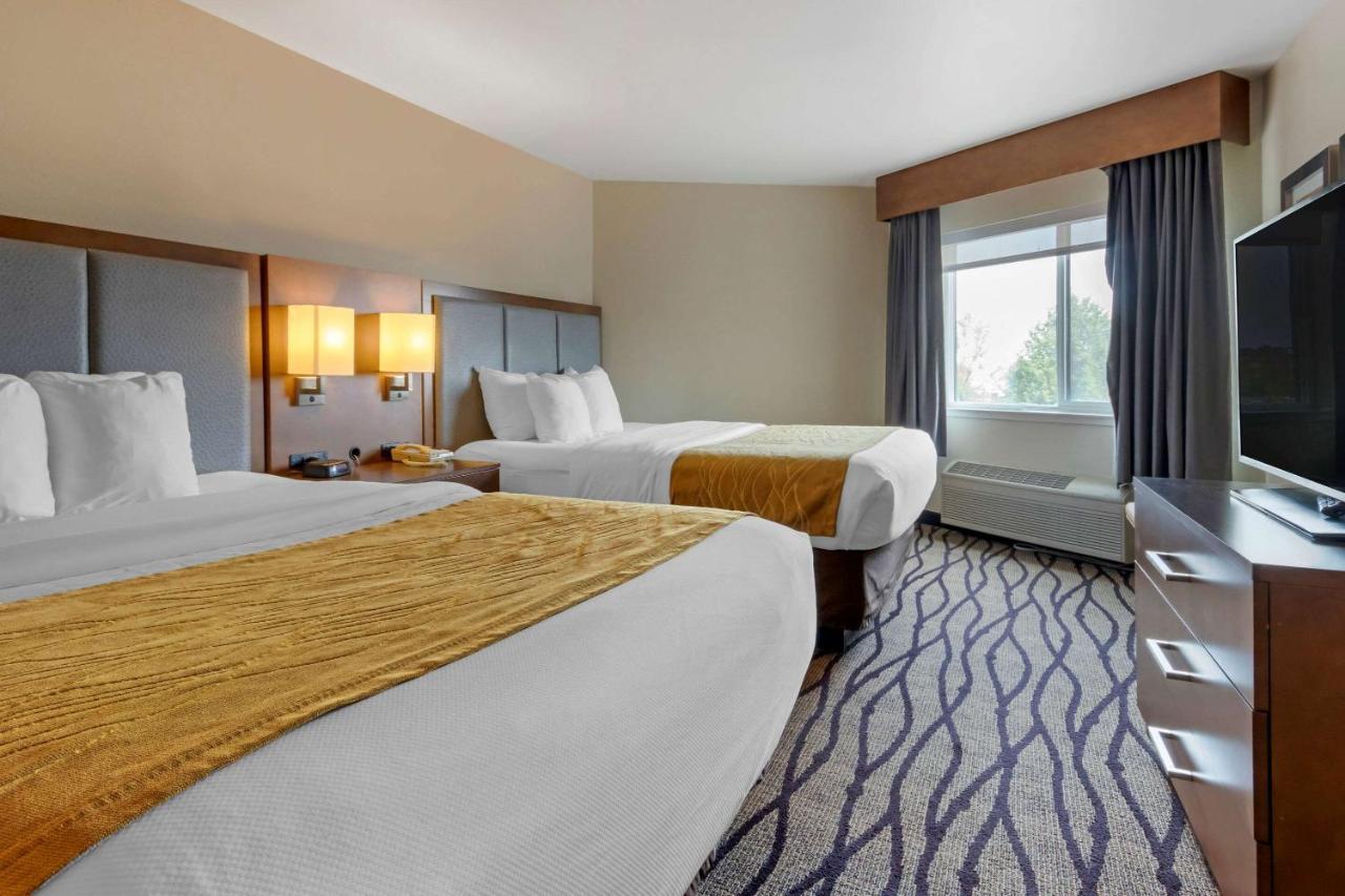 Comfort Inn & Suites Market - Airport Грейт-Фолс Экстерьер фото