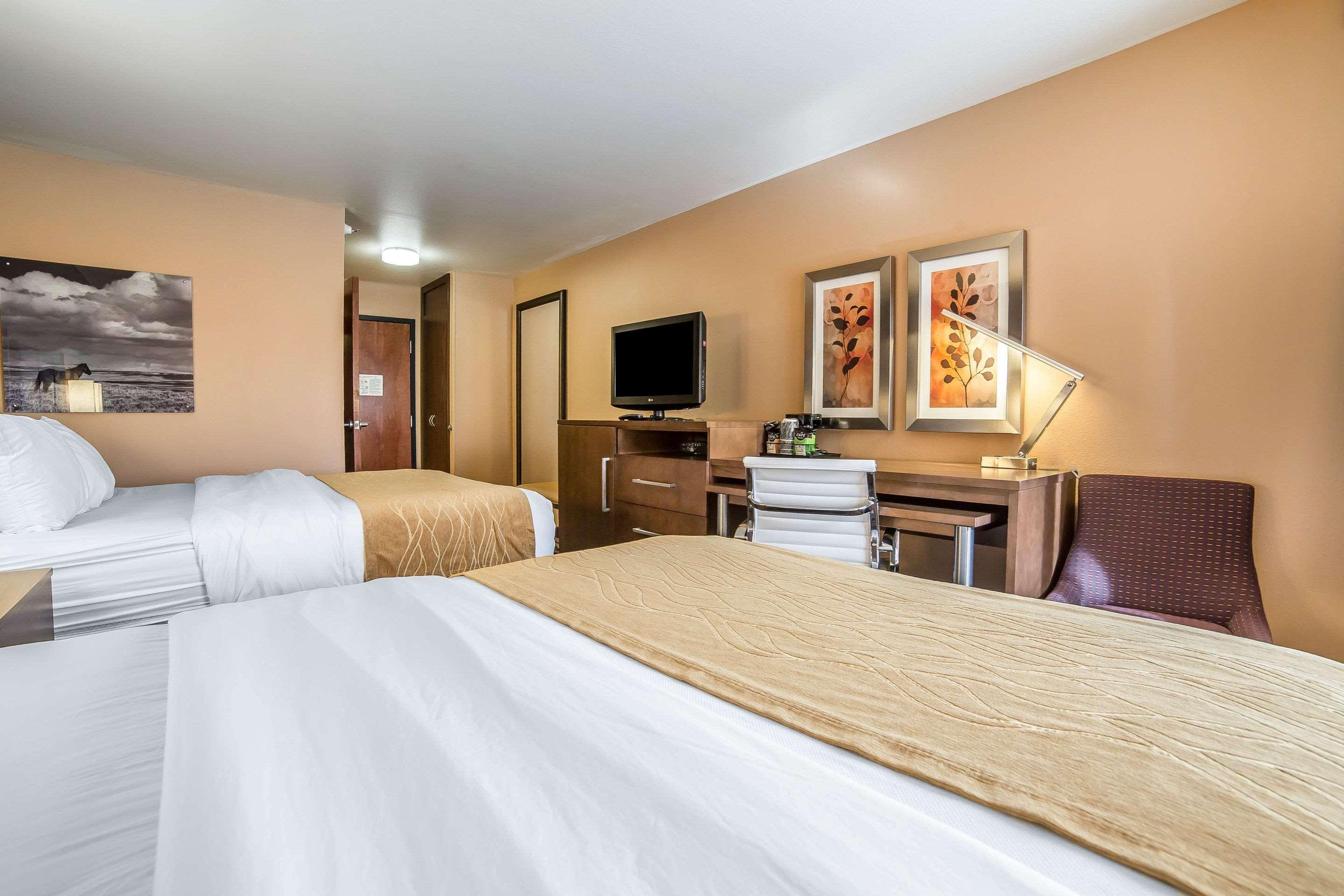 Comfort Inn & Suites Market - Airport Грейт-Фолс Экстерьер фото