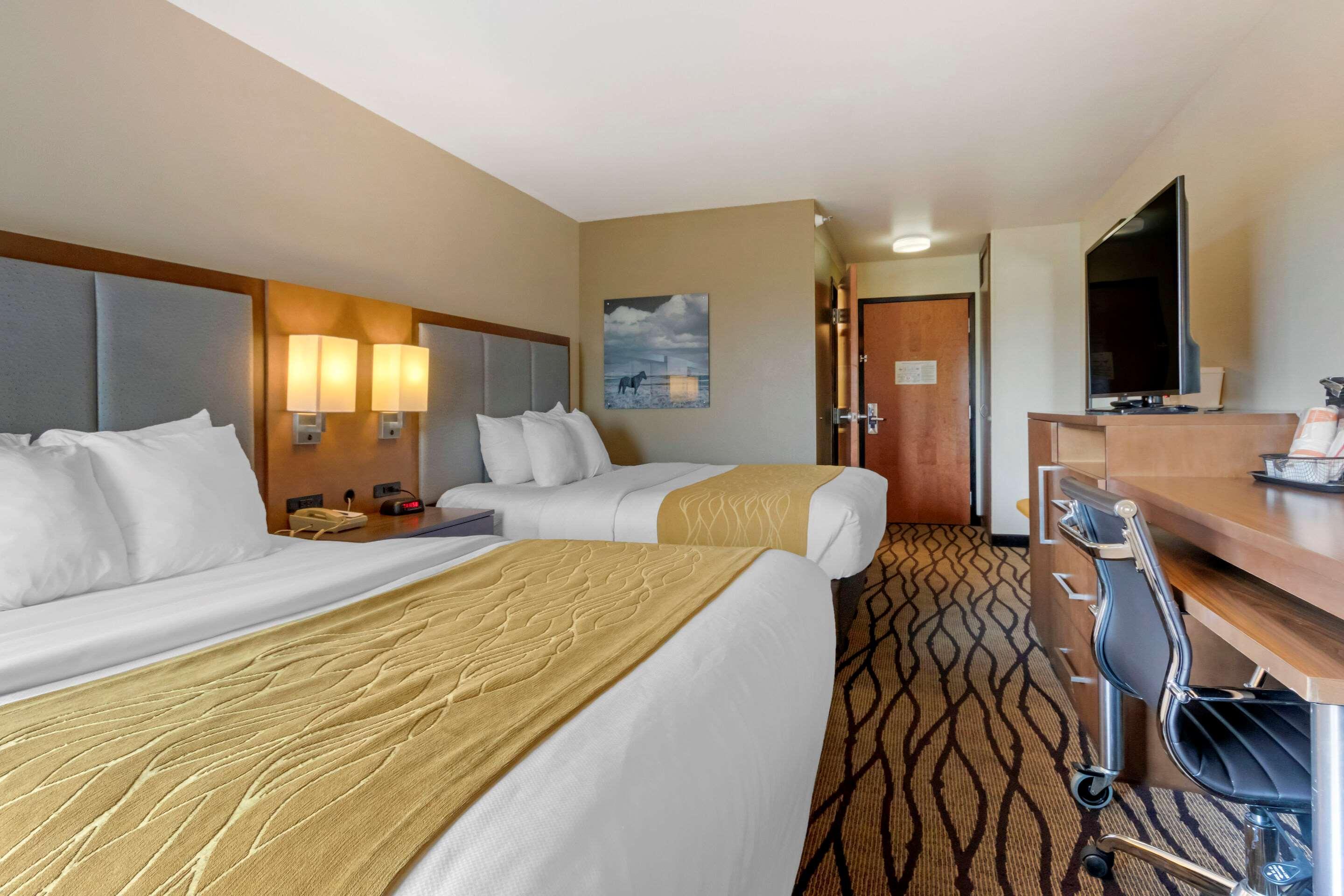 Comfort Inn & Suites Market - Airport Грейт-Фолс Экстерьер фото