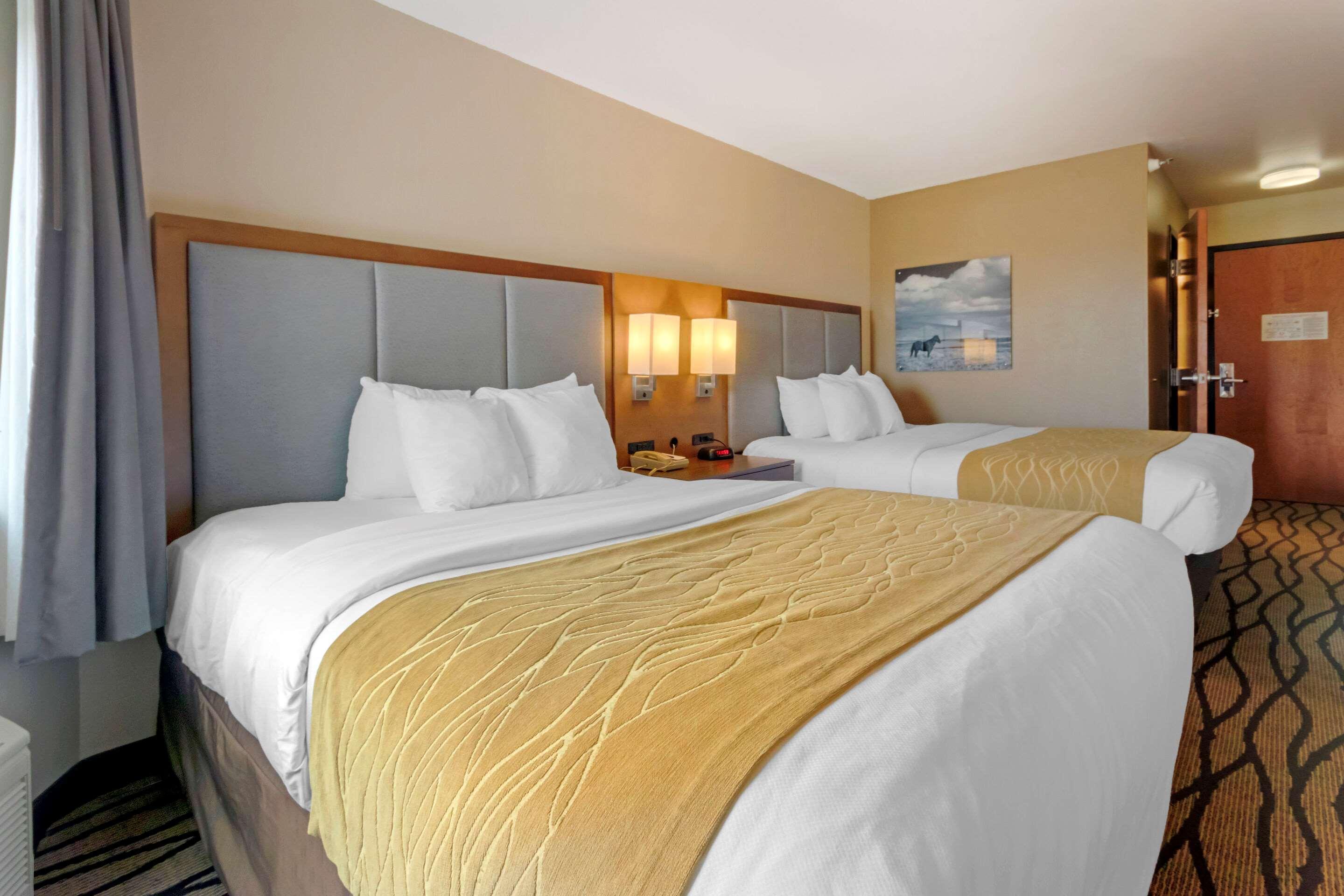 Comfort Inn & Suites Market - Airport Грейт-Фолс Экстерьер фото