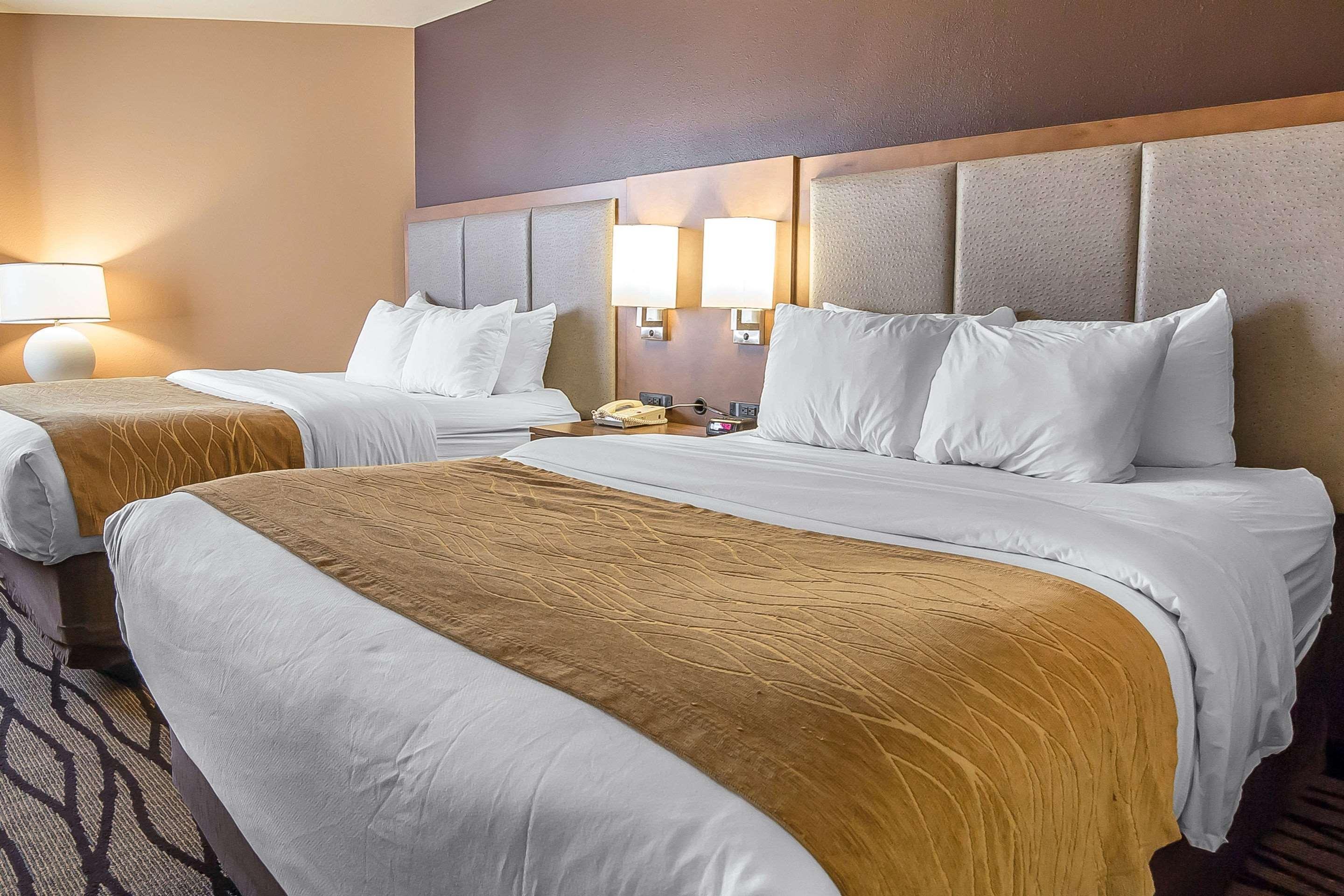 Comfort Inn & Suites Market - Airport Грейт-Фолс Экстерьер фото