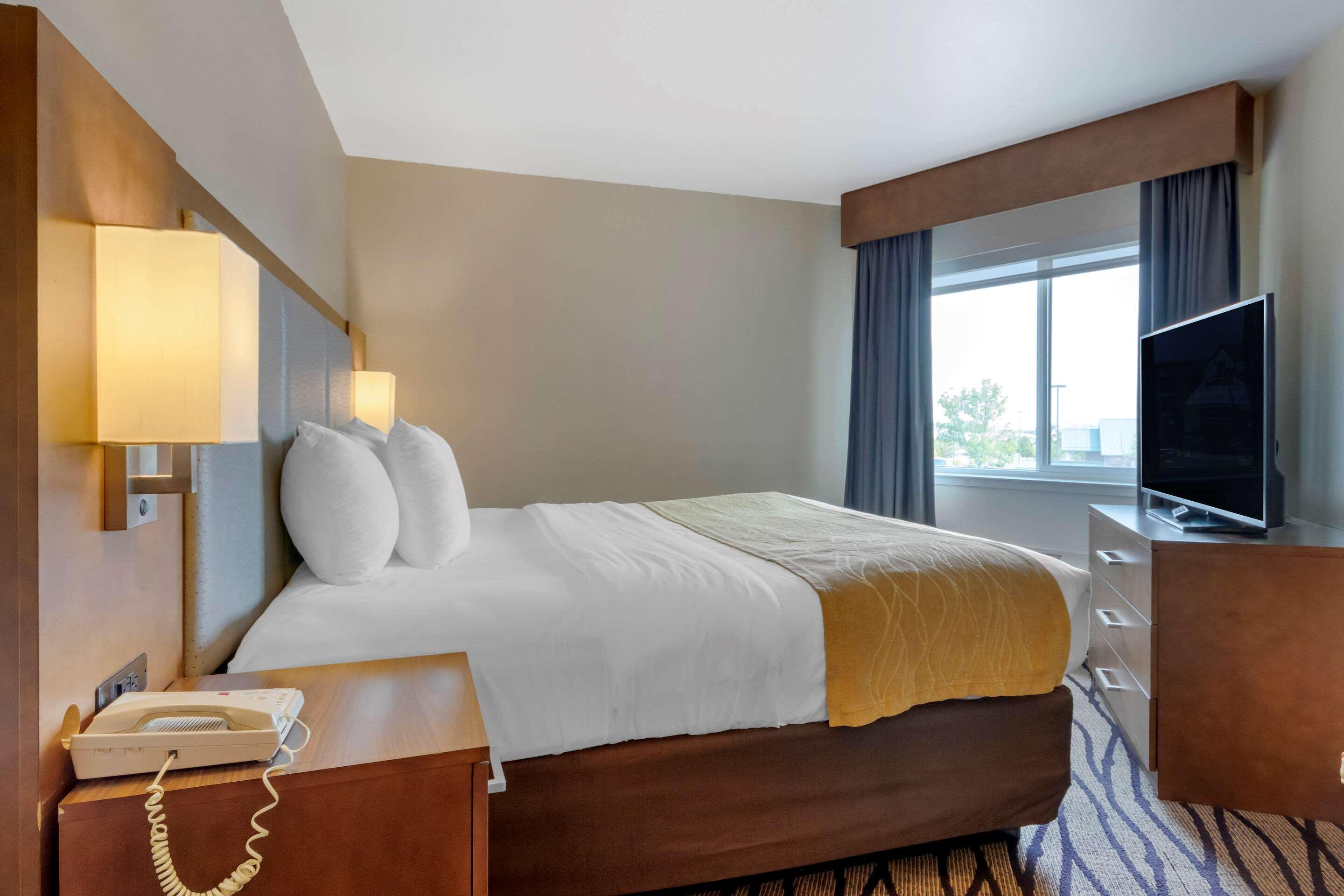 Comfort Inn & Suites Market - Airport Грейт-Фолс Экстерьер фото
